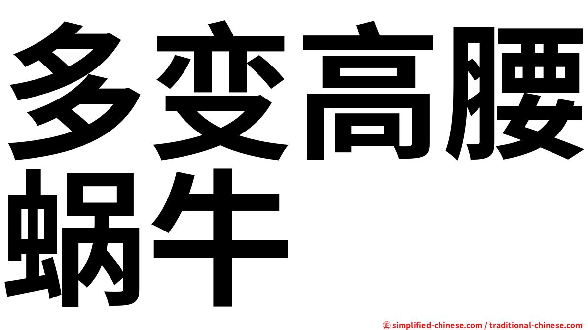多变高腰蜗牛