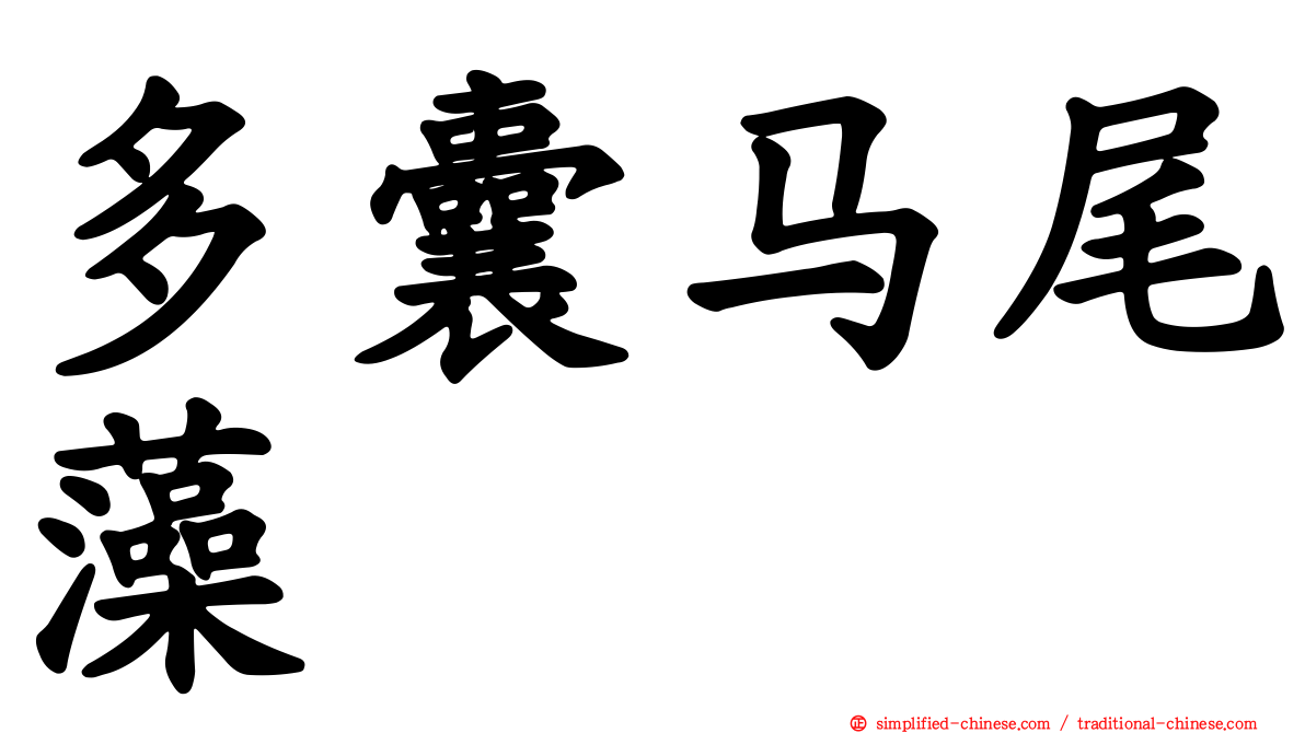 多囊马尾藻
