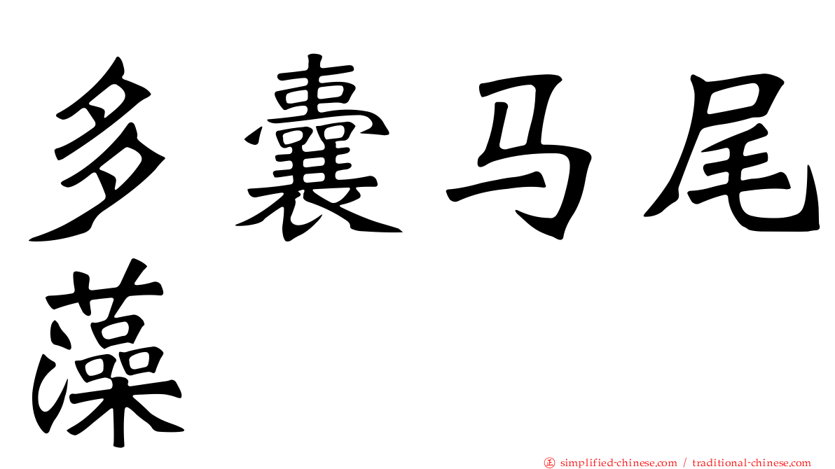 多囊马尾藻