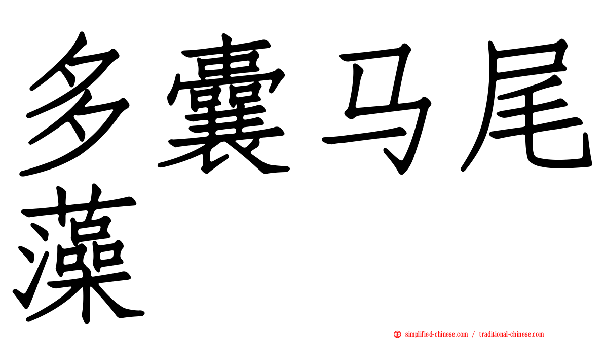 多囊马尾藻