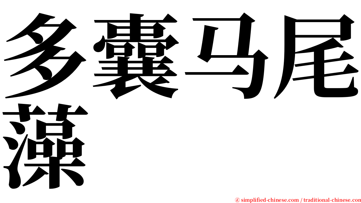 多囊马尾藻 serif font
