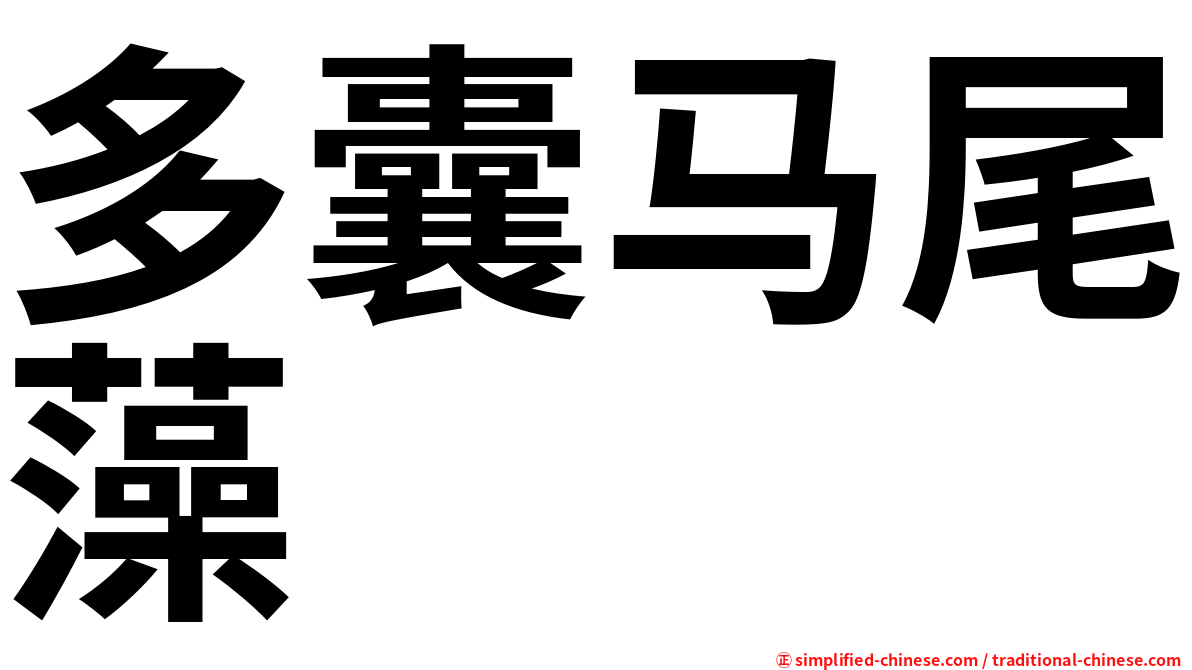 多囊马尾藻