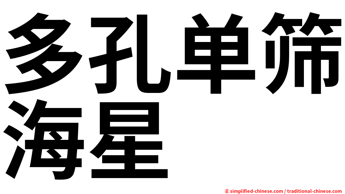多孔单筛海星