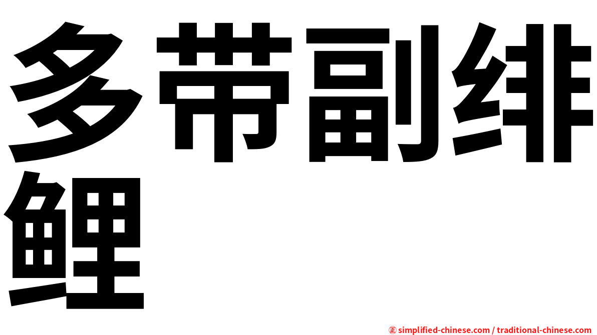 多带副绯鲤