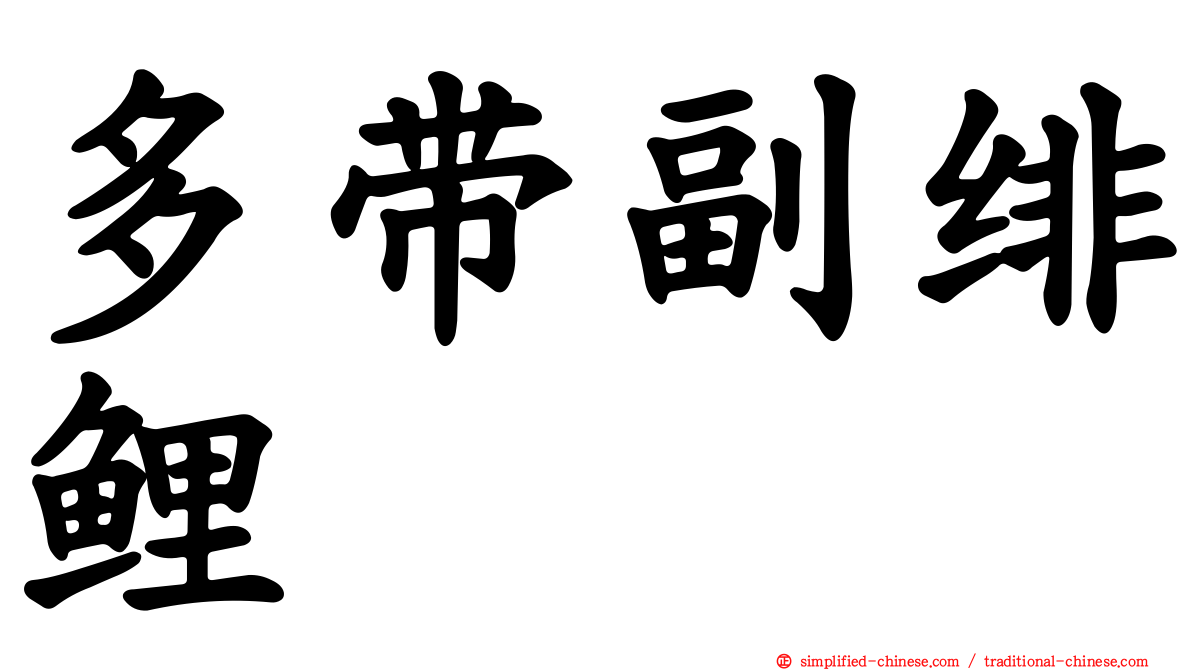 多带副绯鲤