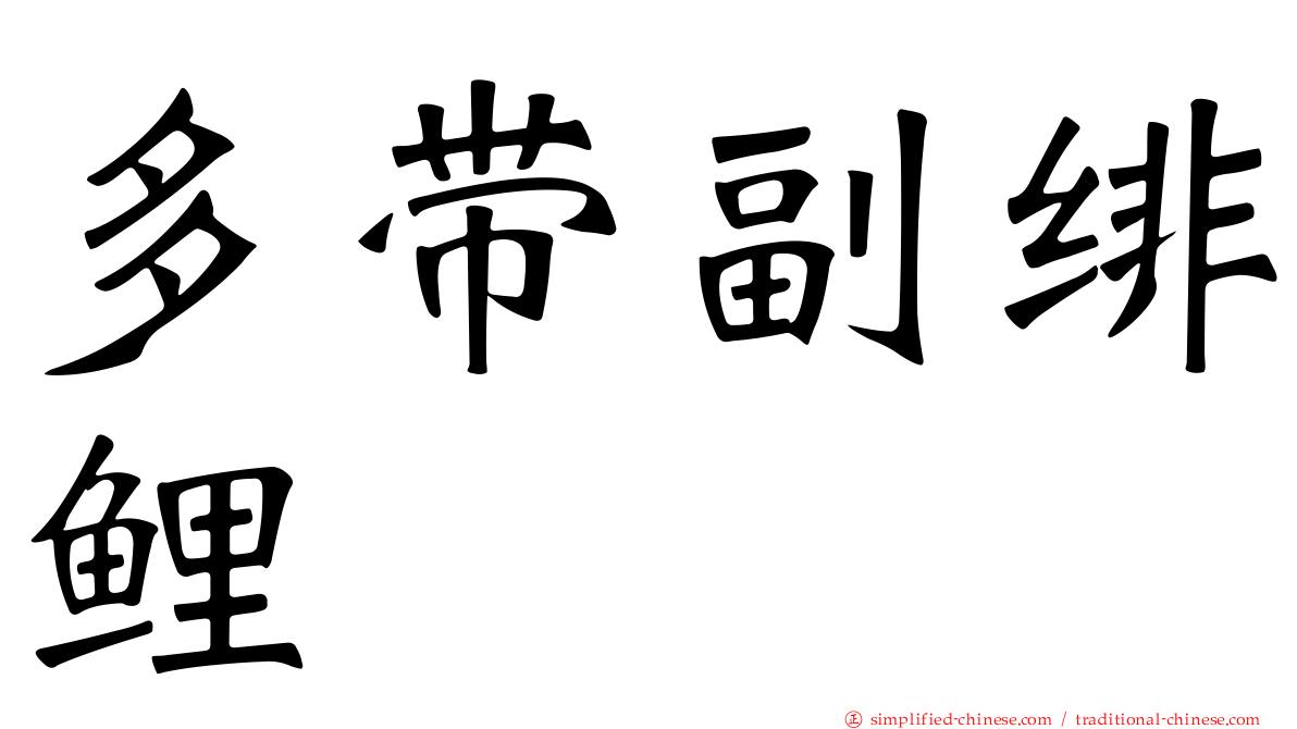 多带副绯鲤