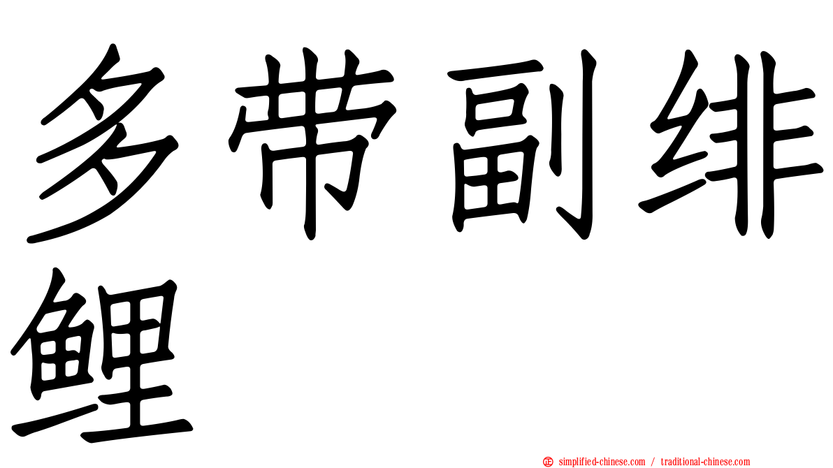 多带副绯鲤
