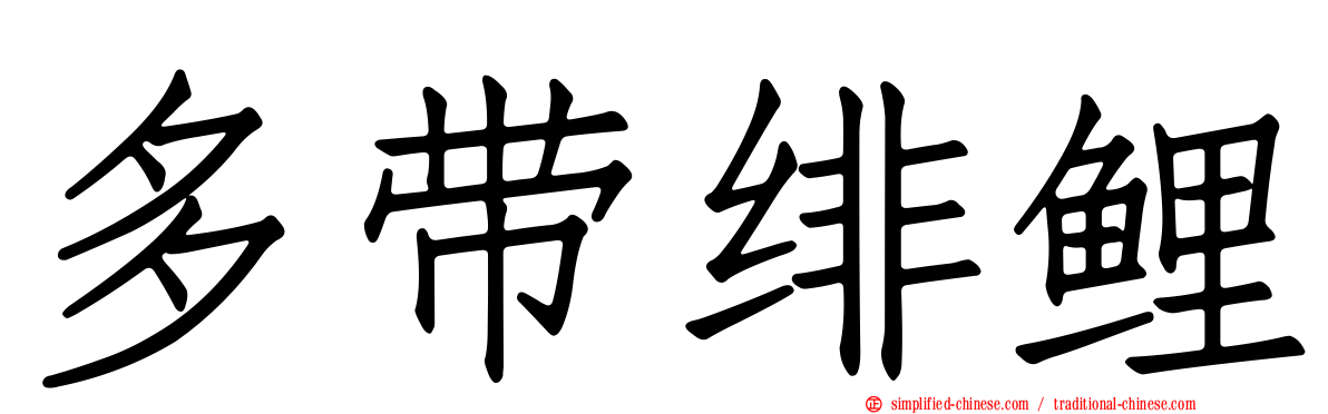 多带绯鲤