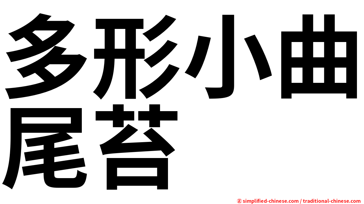 多形小曲尾苔