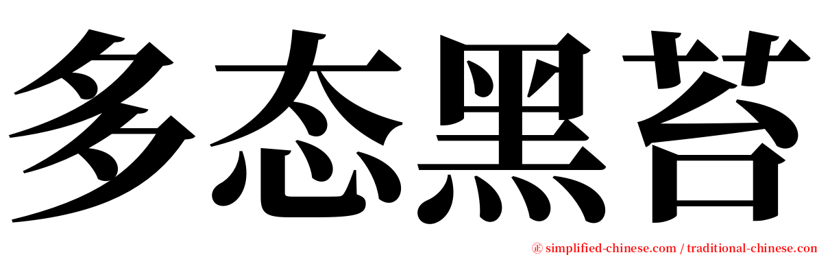 多态黑苔 serif font