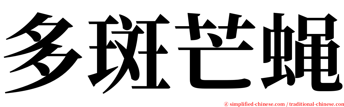 多斑芒蝇 serif font