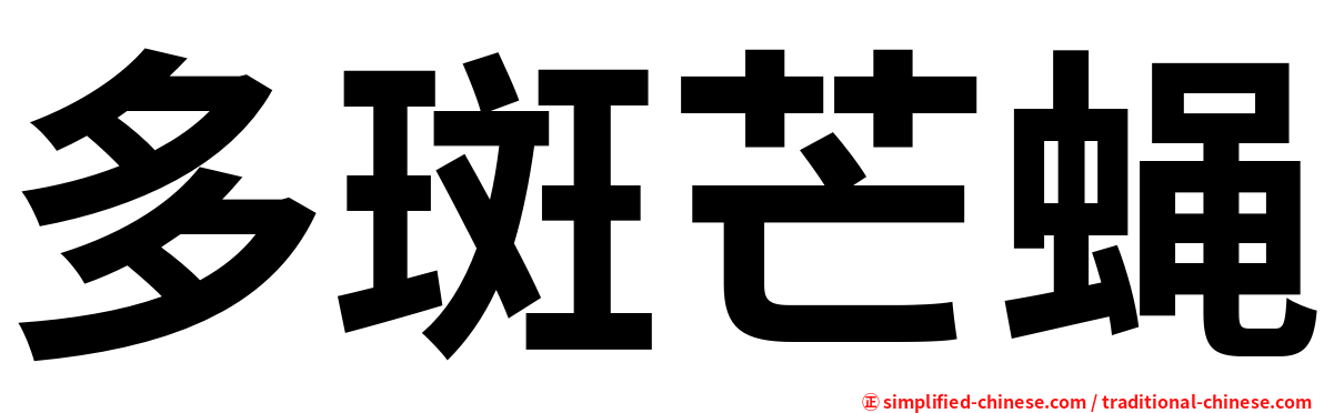 多斑芒蝇