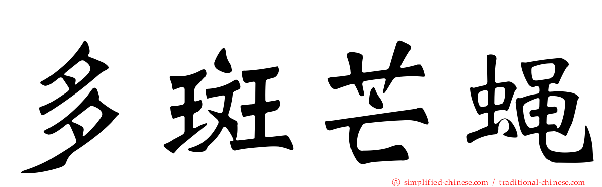 多斑芒蝇