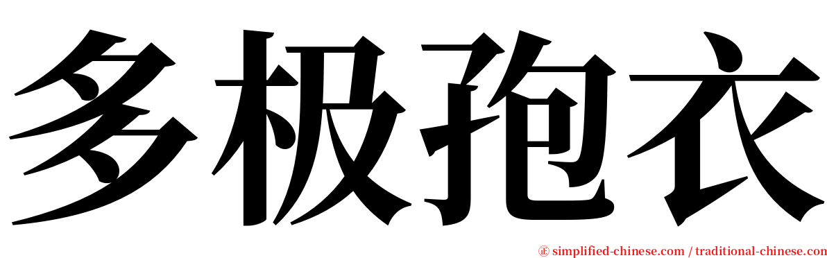 多极孢衣 serif font