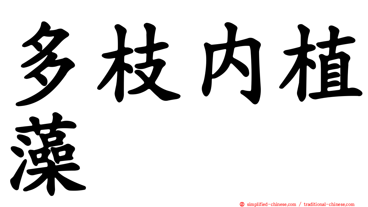 多枝内植藻