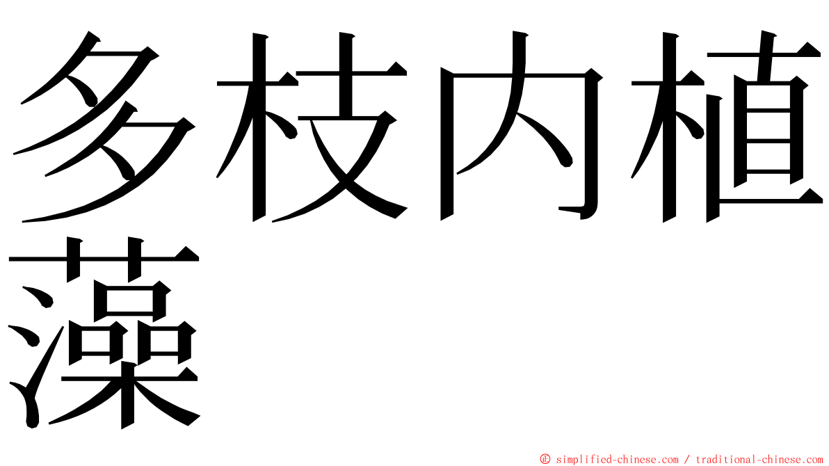 多枝内植藻 ming font