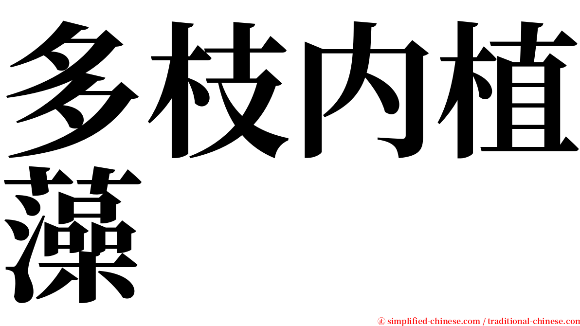 多枝内植藻 serif font
