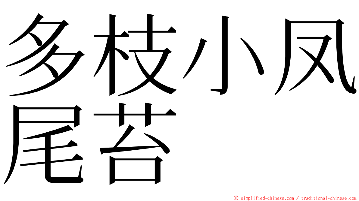 多枝小凤尾苔 ming font