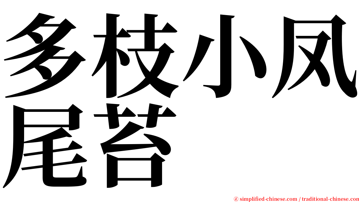 多枝小凤尾苔 serif font