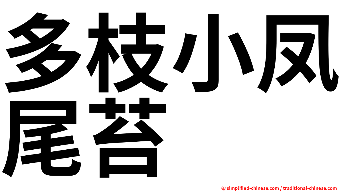多枝小凤尾苔