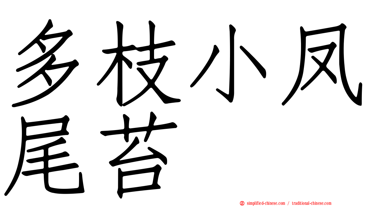 多枝小凤尾苔