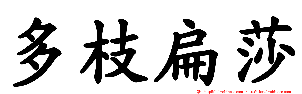 多枝扁莎