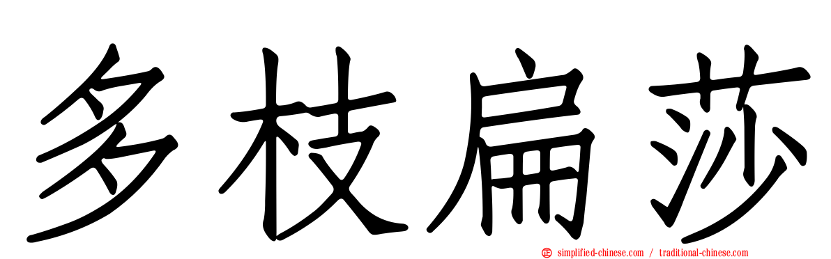 多枝扁莎