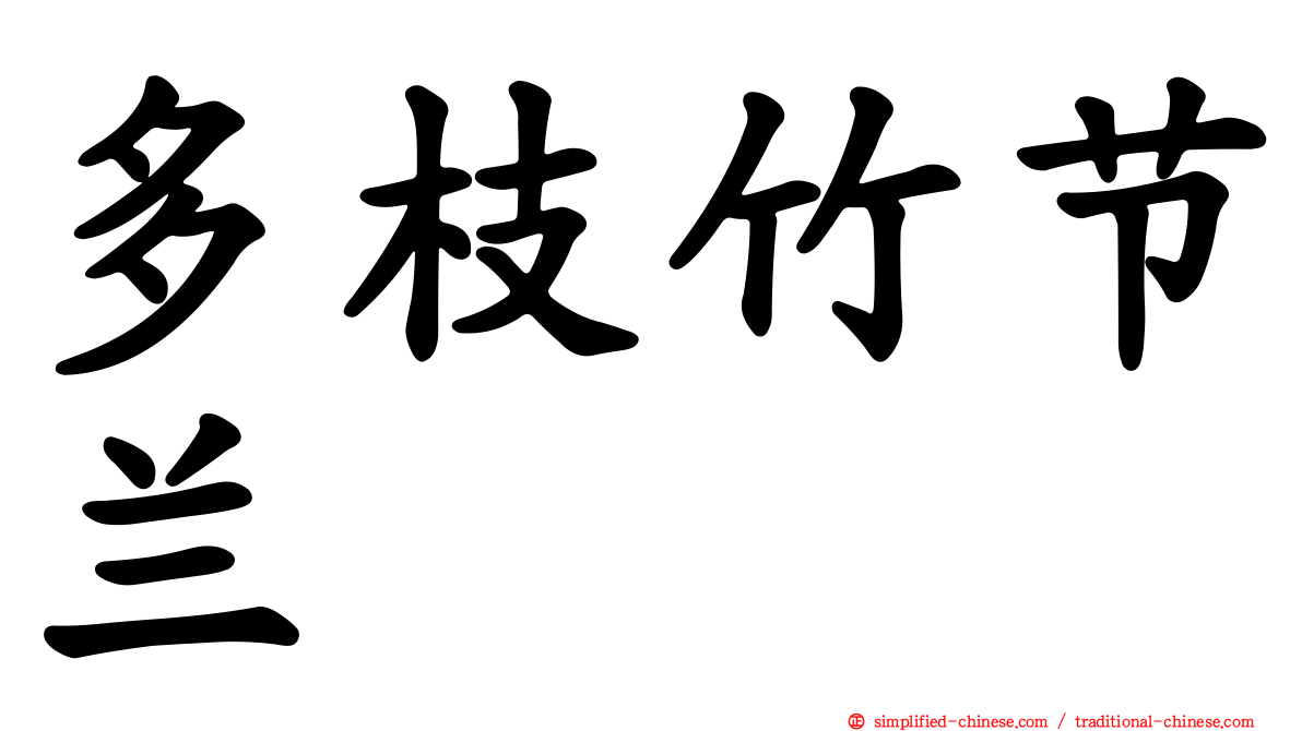 多枝竹节兰
