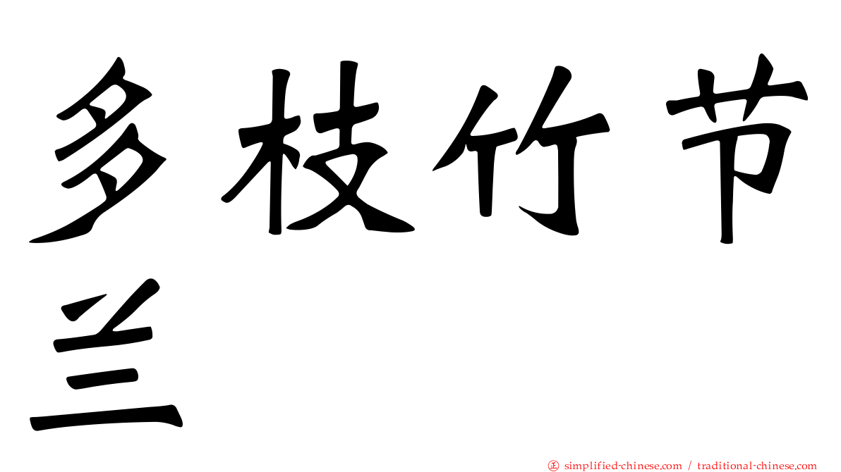 多枝竹节兰