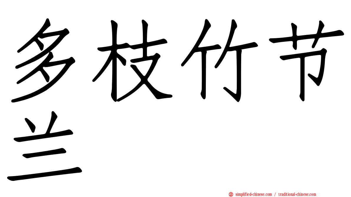 多枝竹节兰