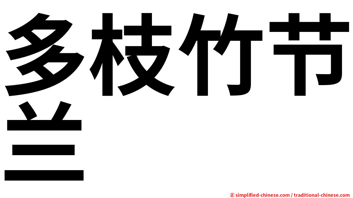 多枝竹节兰