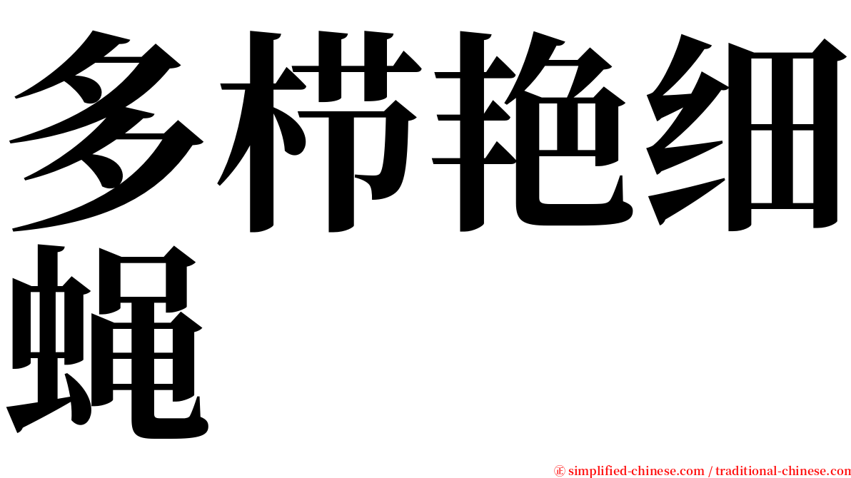 多栉艳细蝇 serif font