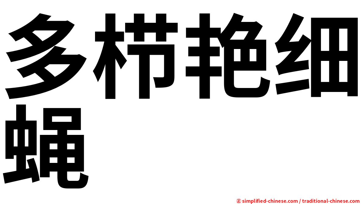 多栉艳细蝇