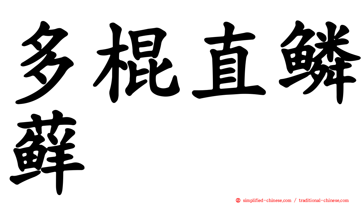 多棍直鳞藓
