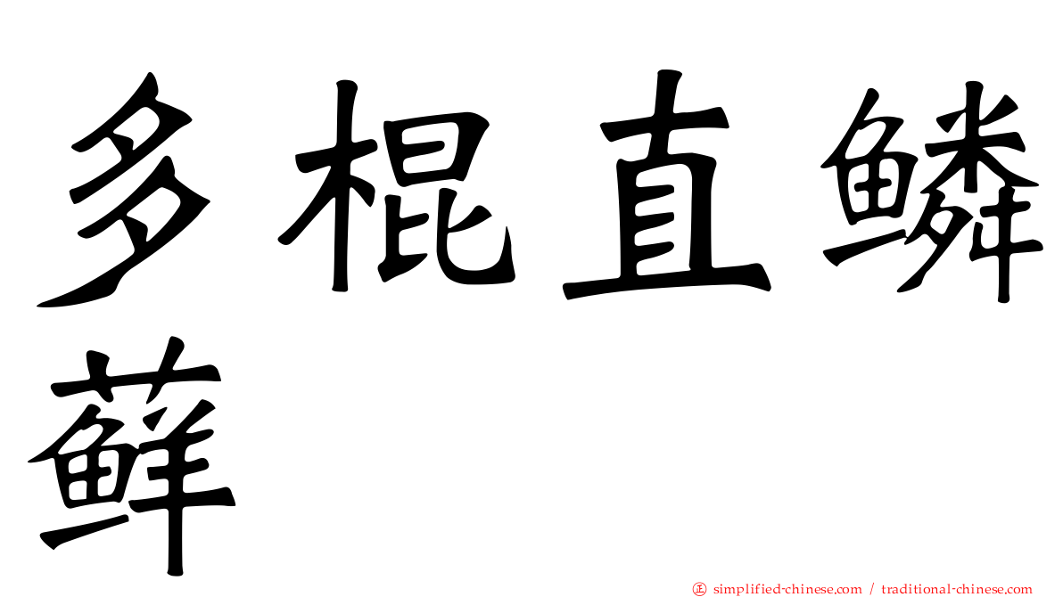 多棍直鳞藓