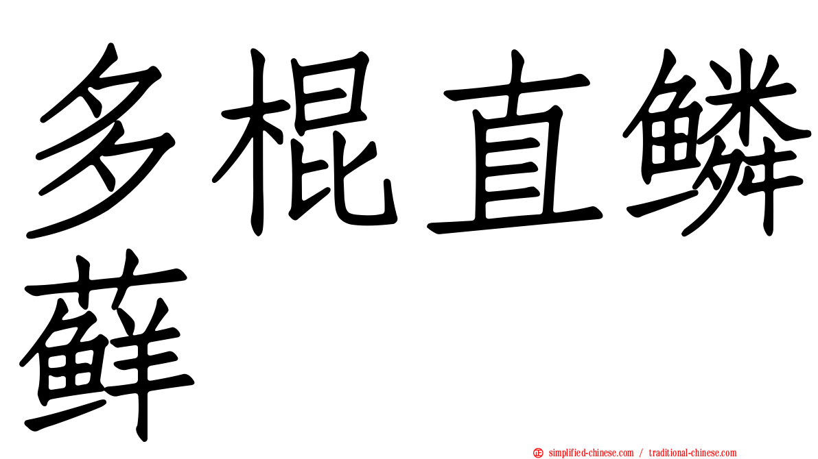 多棍直鳞藓