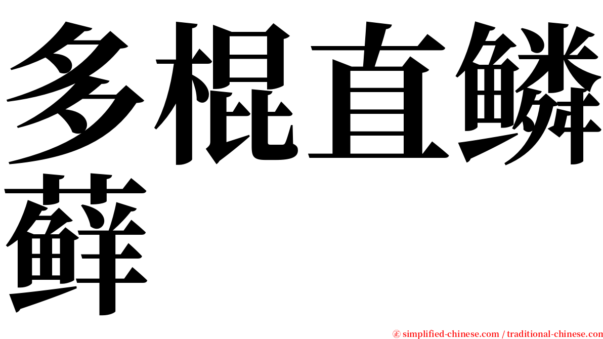 多棍直鳞藓 serif font