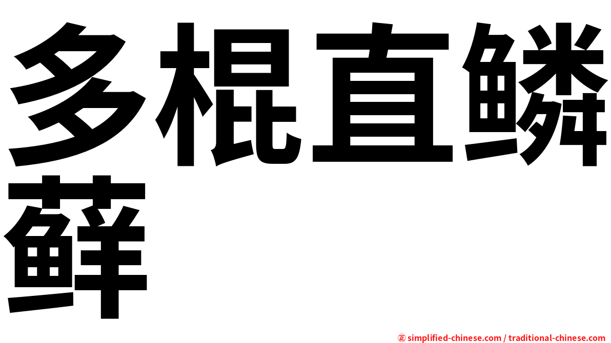 多棍直鳞藓