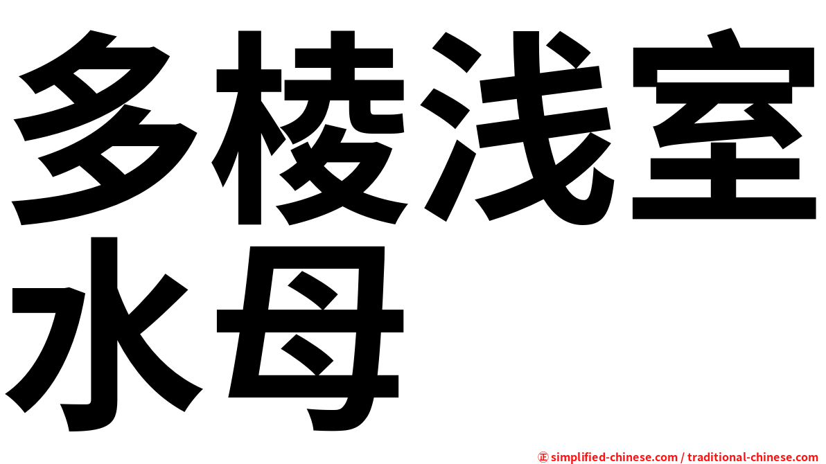 多棱浅室水母