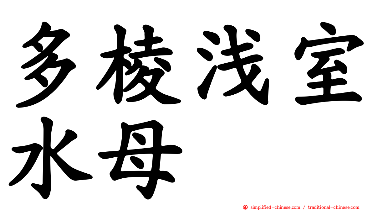多棱浅室水母