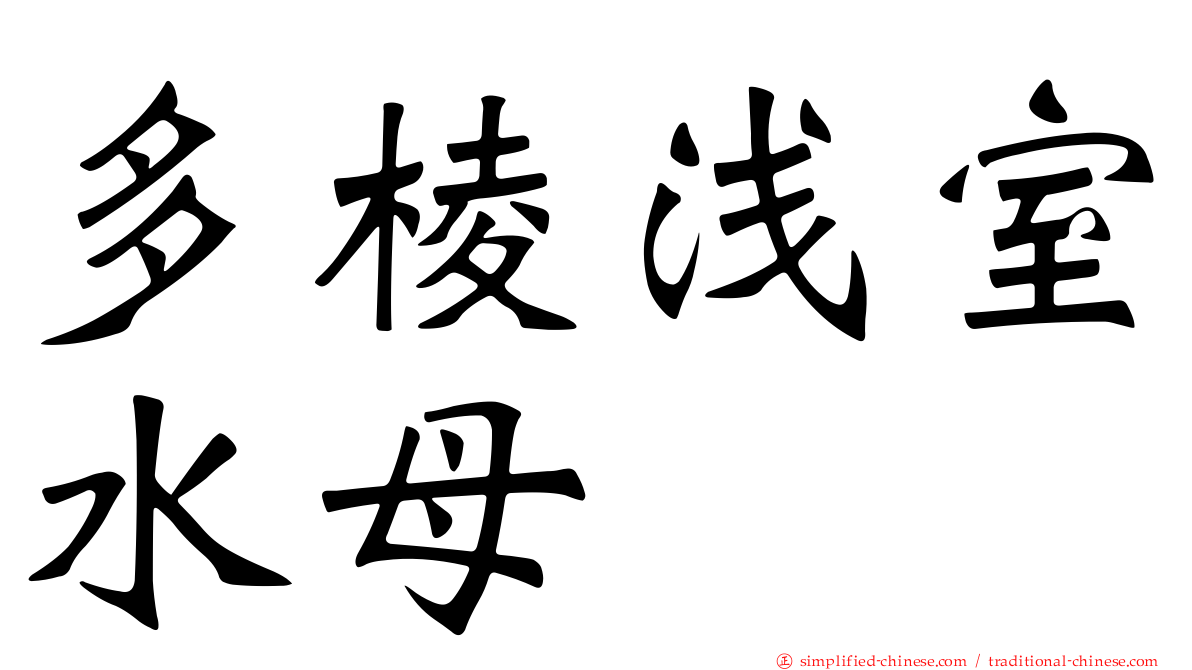 多棱浅室水母