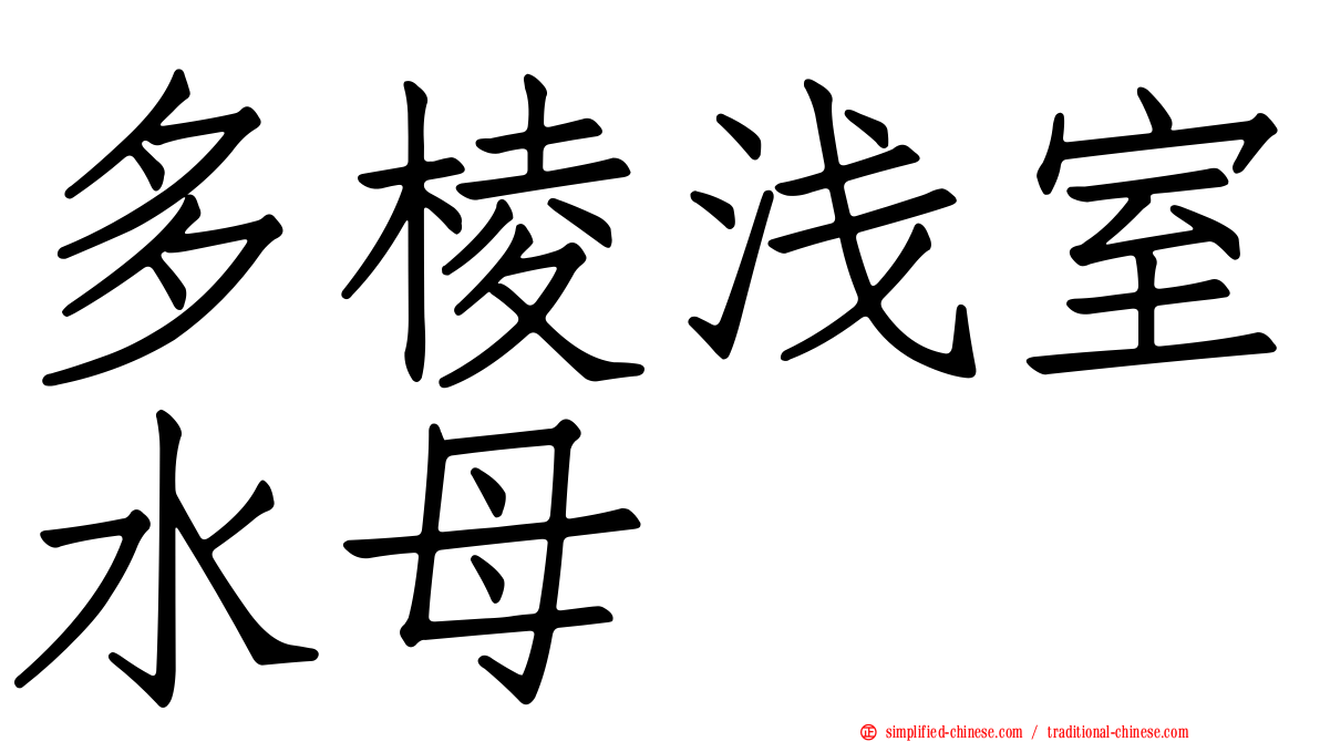多棱浅室水母