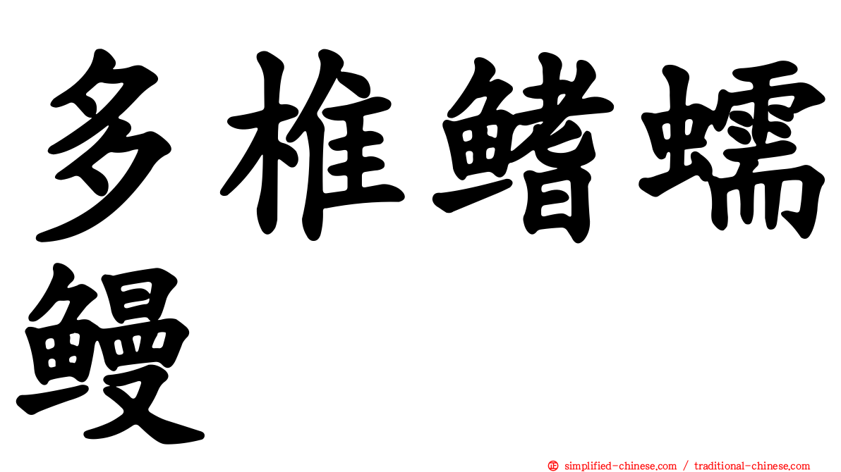 多椎鳍蠕鳗