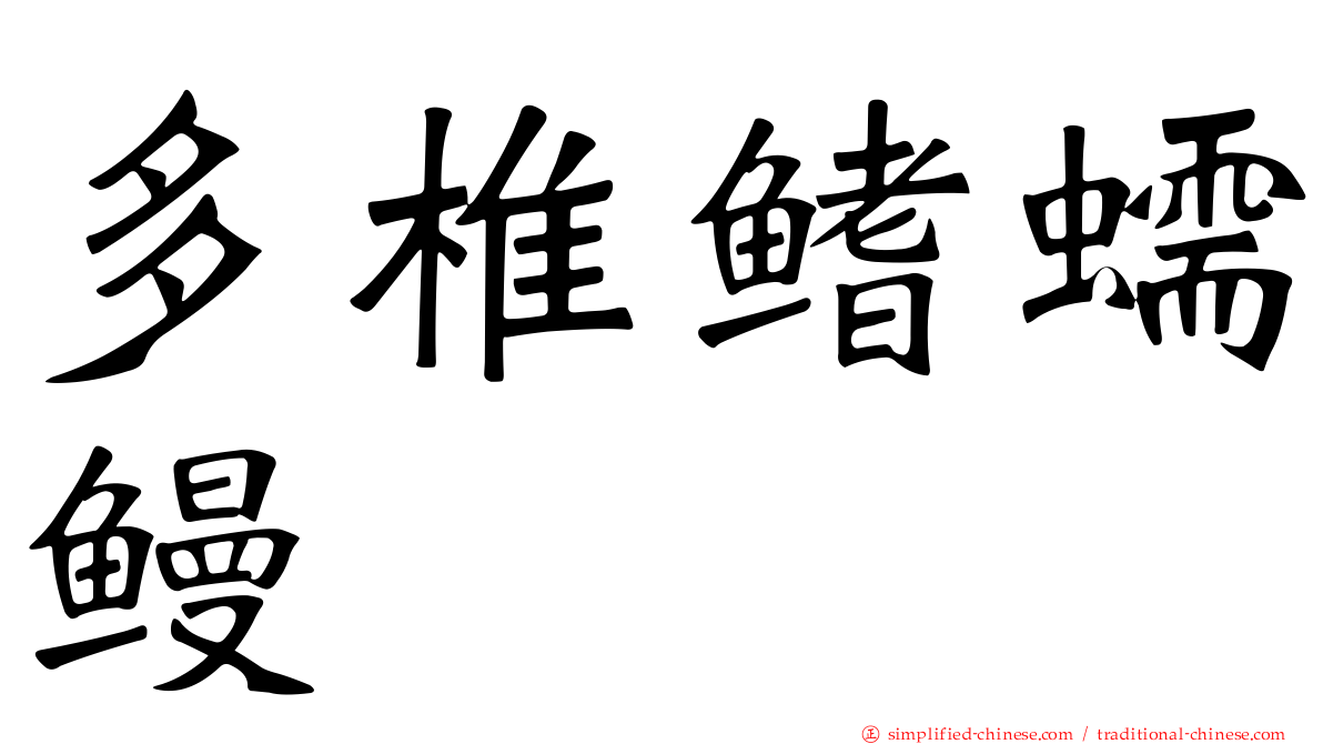 多椎鳍蠕鳗
