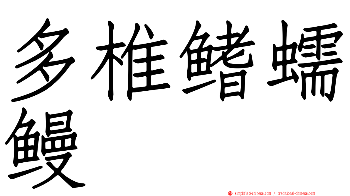 多椎鳍蠕鳗