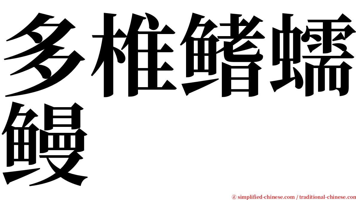 多椎鳍蠕鳗 serif font