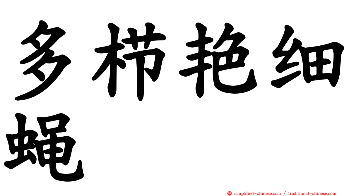 多栉艳细蝇