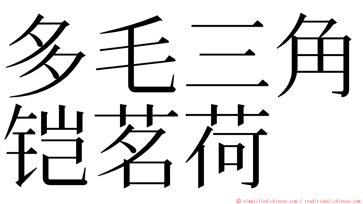 多毛三角铠茗荷 ming font