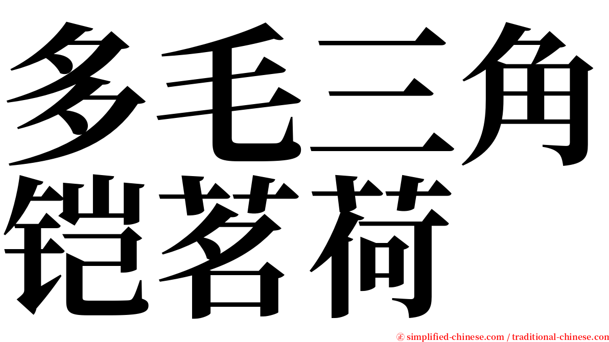 多毛三角铠茗荷 serif font