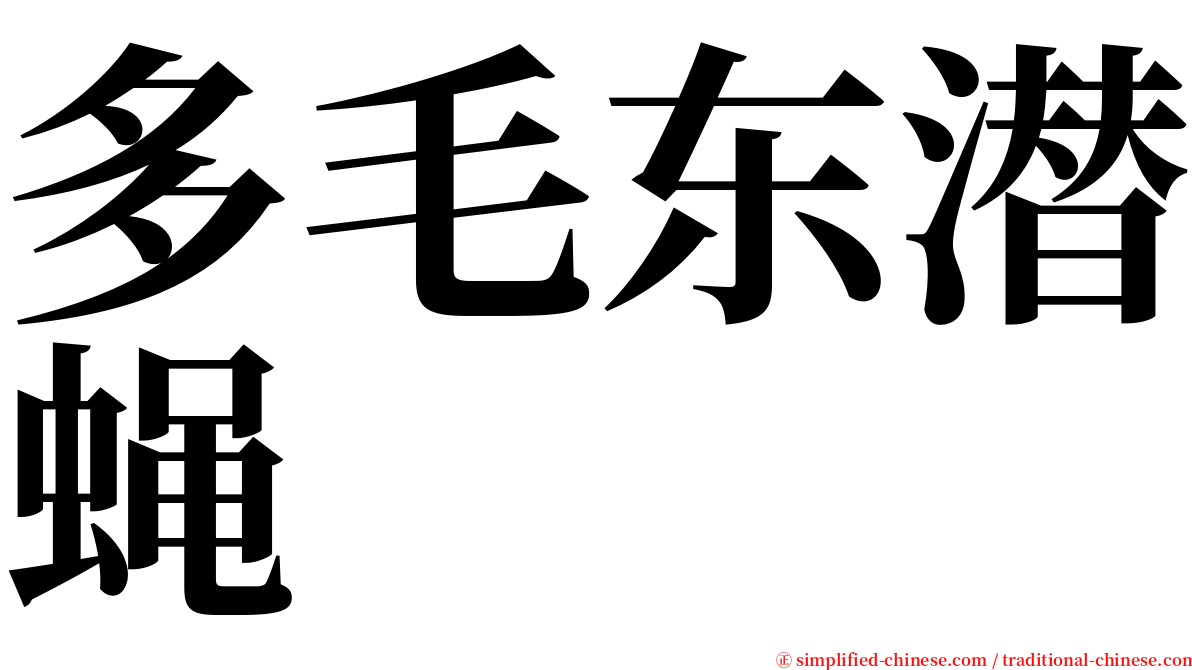 多毛东潜蝇 serif font